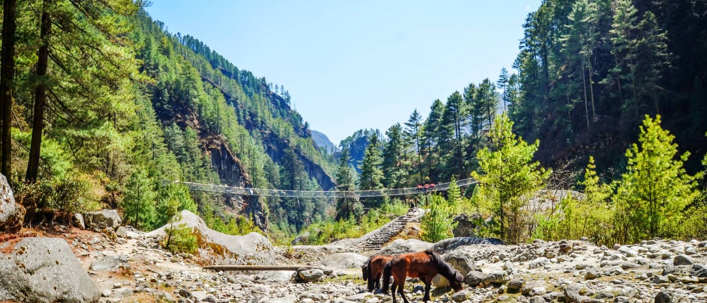 Sar Pass Trek in Parwati Valley